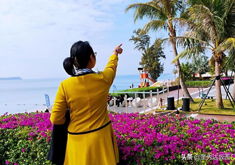 深圳第一个冬天感受,深圳的初秋生活