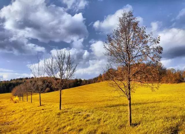 描写秋天句子作文素材,作文素材怎么写关于秋天