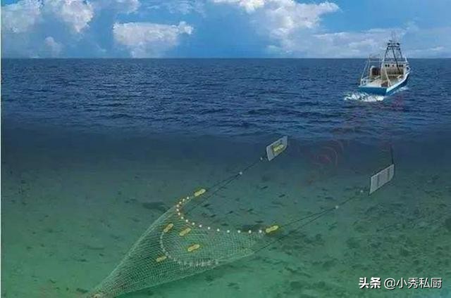 冰鲜带鱼为啥比冷冻带鱼便宜,为什么鲜带鱼还不如冻带鱼口感好