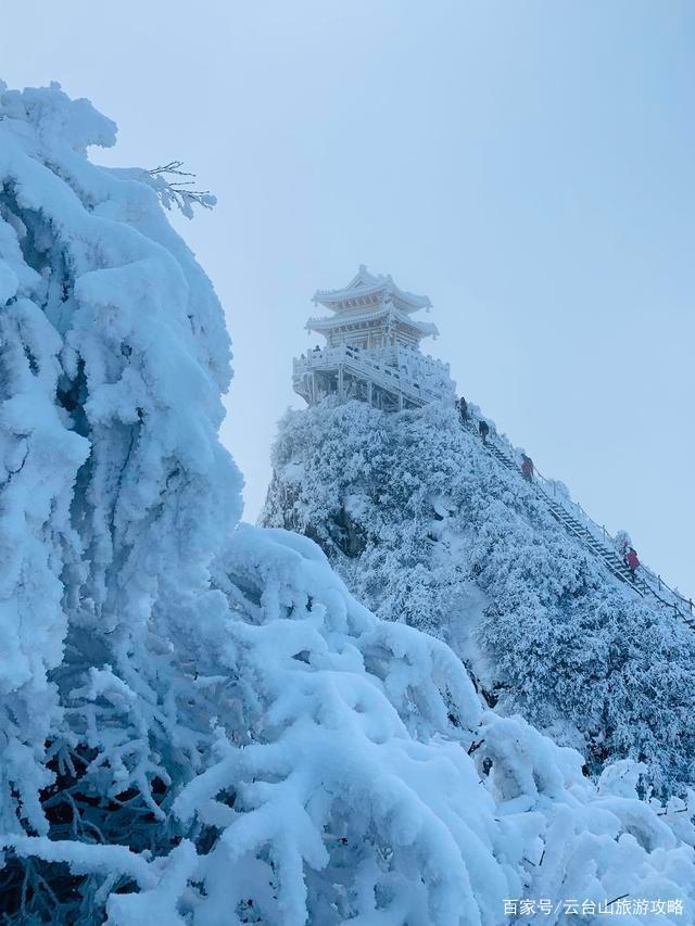 白酒品牌鄙视链,豫酒为什么这么难复兴