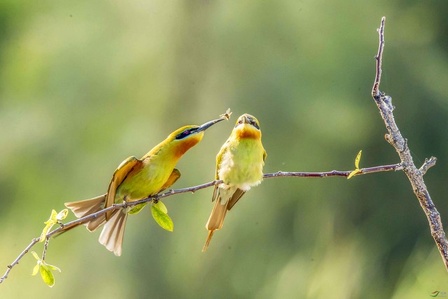 立场不同，请不要随意指责