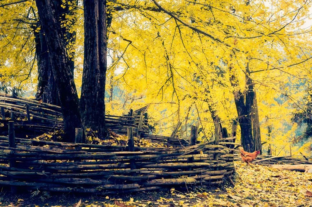 20个值得去的地方,适合一个人旅行去的地方推荐