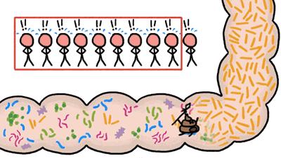排油丸「奥利司他」让你瘦成闪电？真相没那么简单