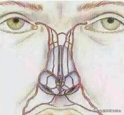 想去隆鼻,隆鼻到底值不值得入手