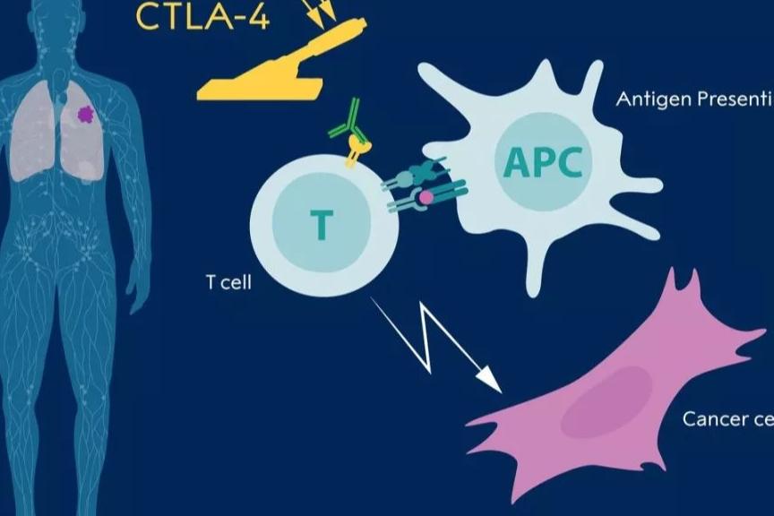 羊水栓塞多见于下列哪种情况,羊水栓塞的临床表现不包括