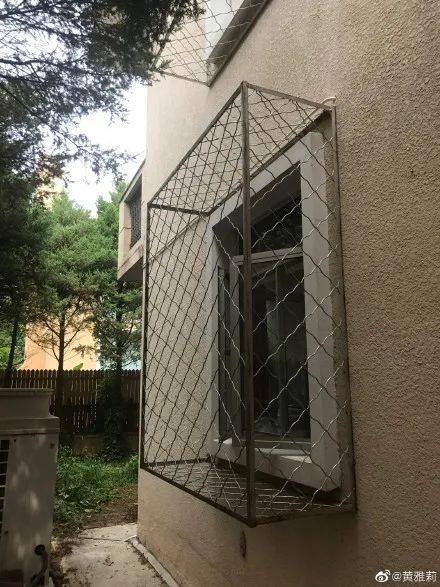 自从看了李子柒的视频,看了李子柒视频想回农村老家