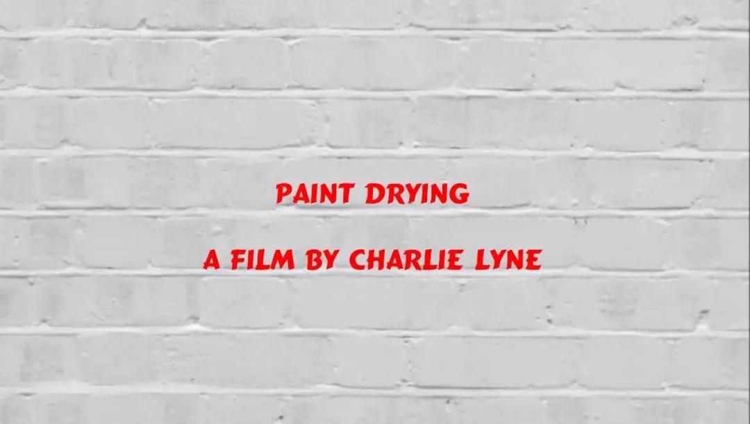 无聊的人类做着无聊的事,因为无聊大家会做出什么事情来