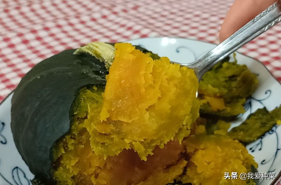 南瓜种植的方法和技术,详细讲解南瓜的种植技术