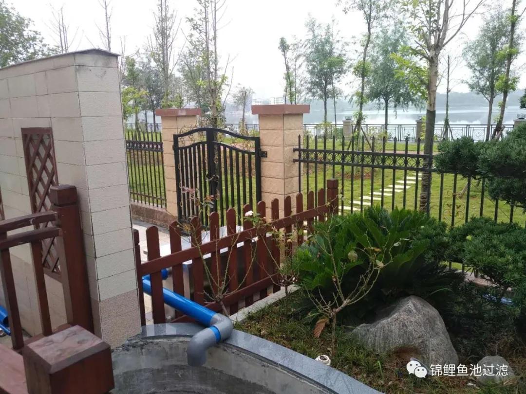 养锦鲤必备的一款鱼池过滤器,锦鲤鱼池过滤器自制方法