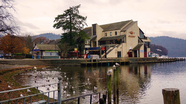 英国爱尔兰彼得兔,英国彼得兔的农庄