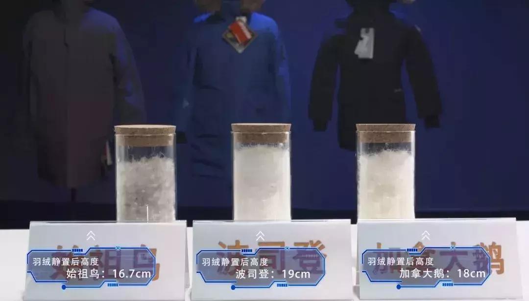 波司登畅销72国是哪些国家,波司登5046