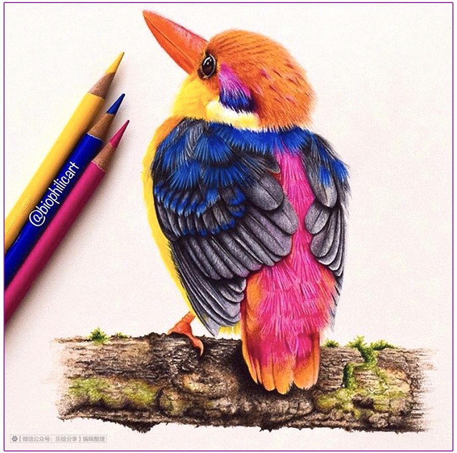 圆形牛皮纸彩铅画花鸟,彩铅画绿藤花鸟图片大全