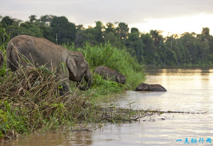 马来西亚旅游必去的十个景点,马来西亚国内海边旅游推荐