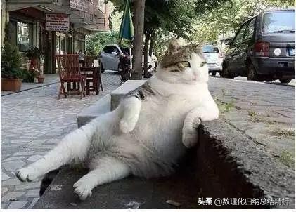 高中政治万能公式及解题方法,高中政治传导类解题方法