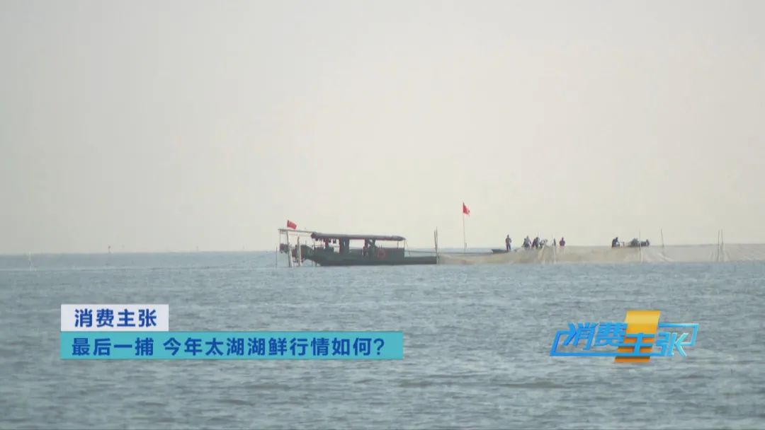 直击太湖开湖现场！鲜美湖鲜大量上市，资深吃货准备好了吗？