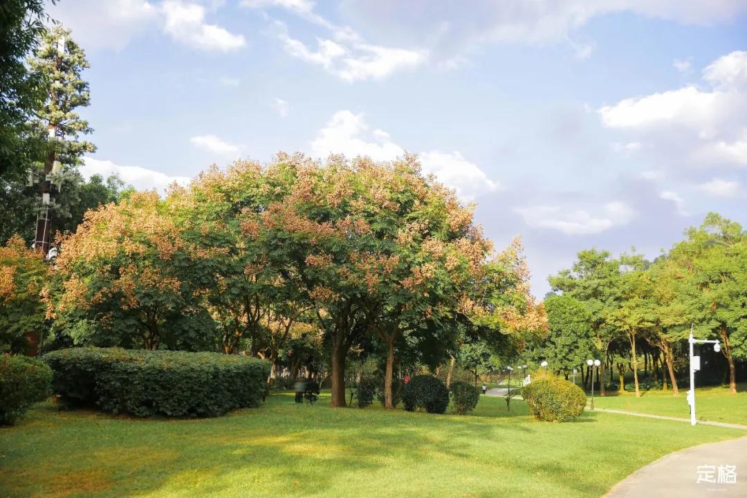 莲花山公园网红打卡地,即墨莲花山公园网红打卡地