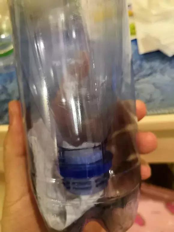 绿萝专用自吸花盆,绿萝吊兰怎么养才能长满花盆