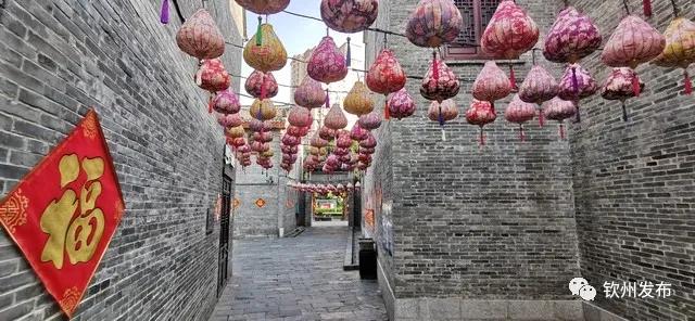 vr直播24小时,vr直播预告