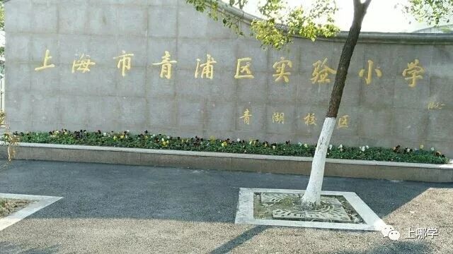 上海十大黑马,上海最出名的十所小学