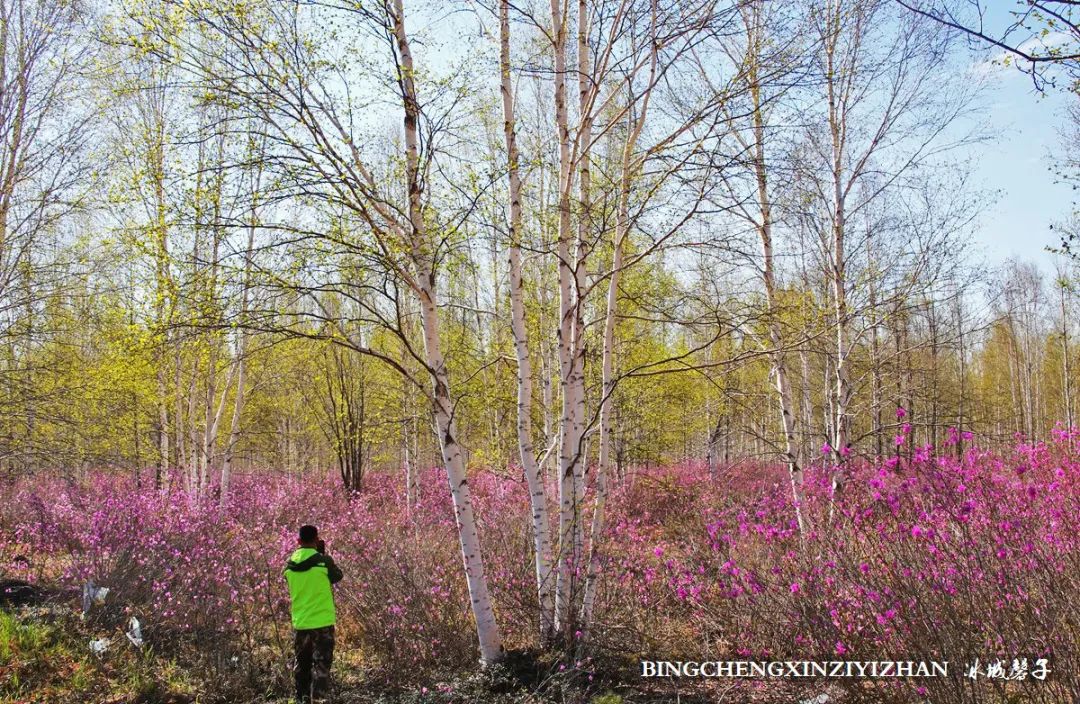 寻找中国最美的春季,探寻中国最美秘境