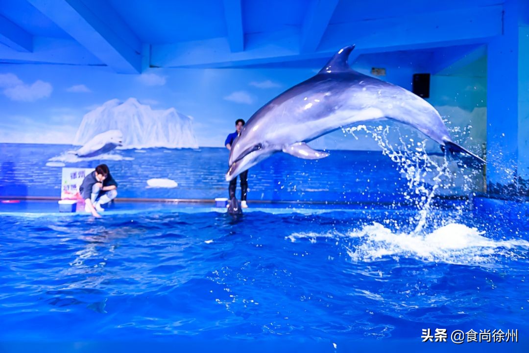 深夜重磅消息,深夜突发事件新闻