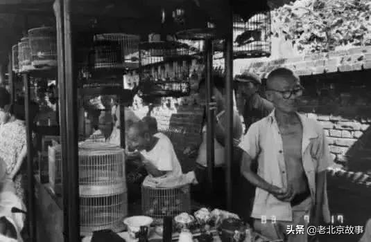 北京金鱼池东区是几环,北京金鱼池原址