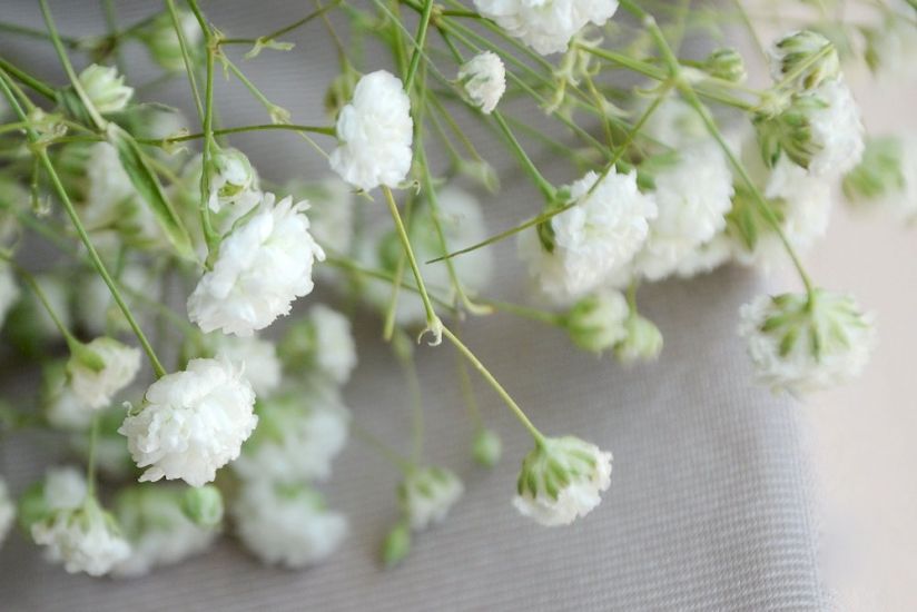 小学生1-6年级造句大全,小学生造句大全一年级