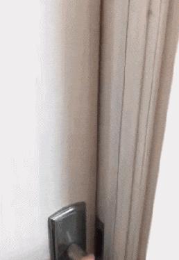 搞笑GIF段子：编辑这锅台是不是为了录视频还擦了擦？唉呀妈呀