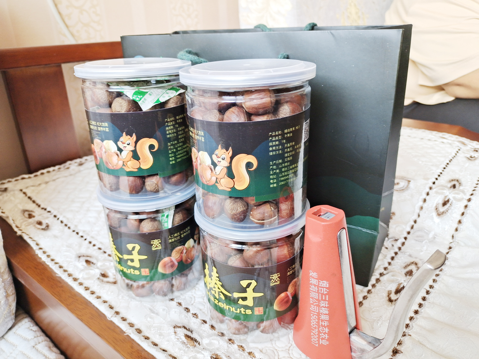 美霞家庭农场小榛子“链”起大产业推动乡村产业振兴，齐山镇河上沟村榛子树，遍山坡