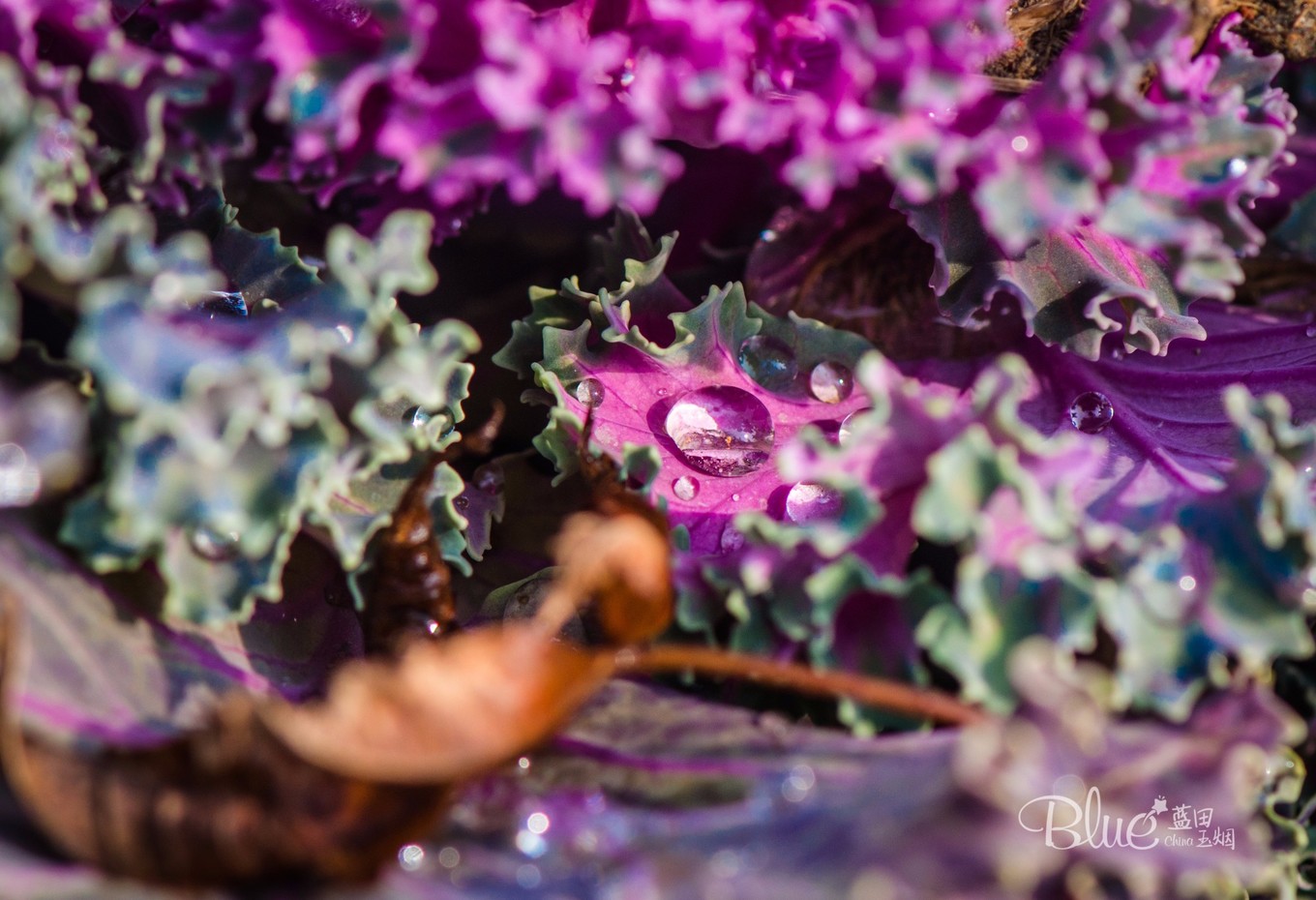 最有灵性的古佛寺,国内最美佛寺排行榜前十