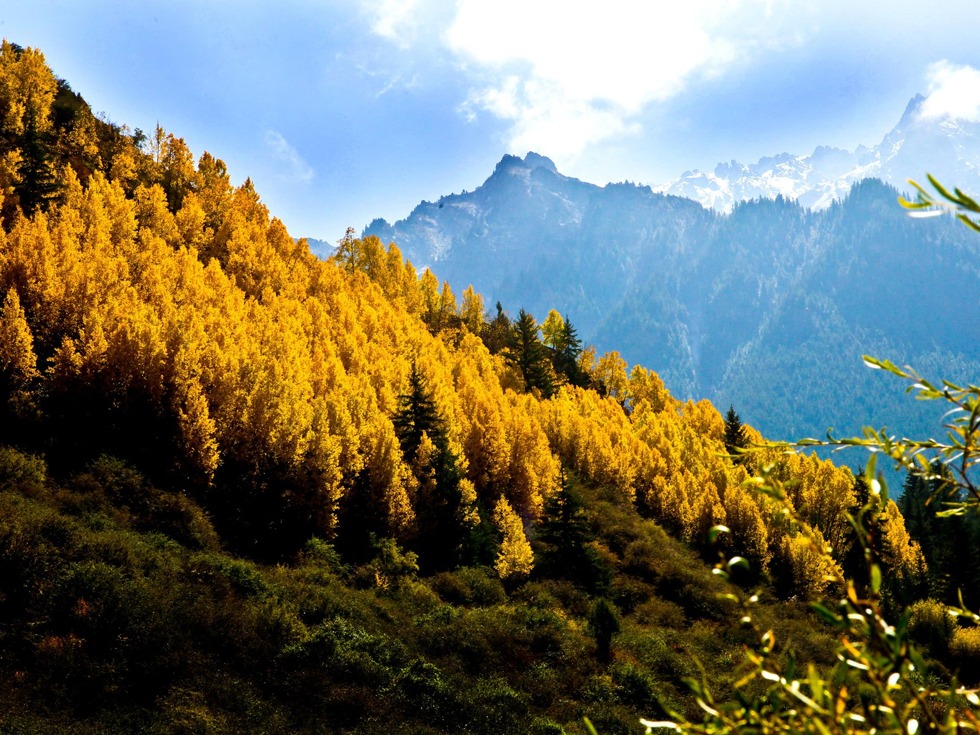 额济纳后，张掖再向滞留旅客赠免费门票，网友：营销噱头缺乏诚意