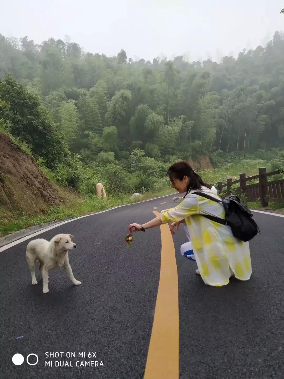 黄建芳的小视频,黄建芳湖南嘉禾人