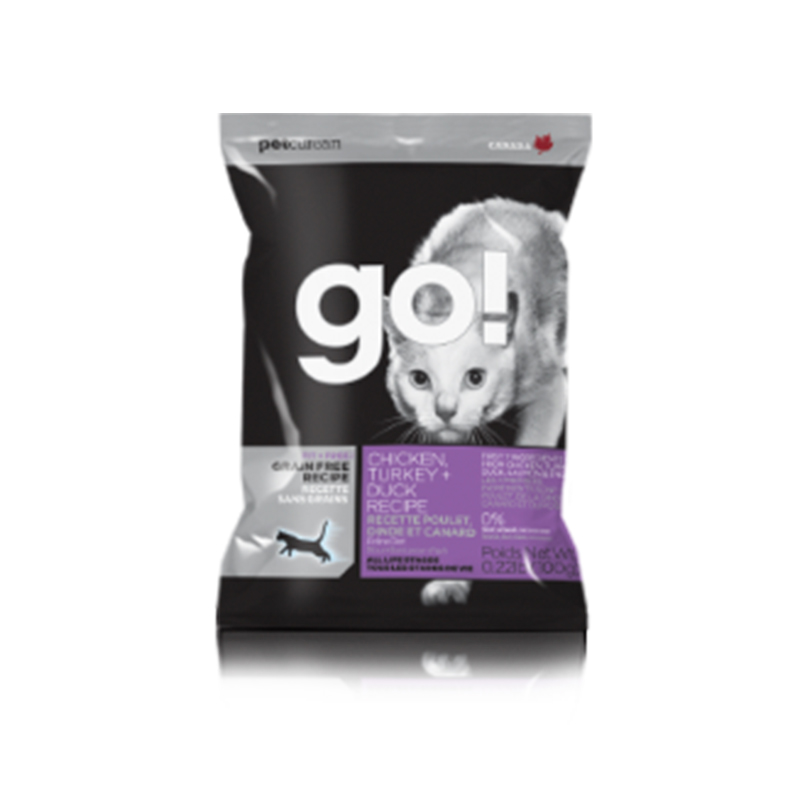 推荐买的十种猫,几百块推荐养的猫