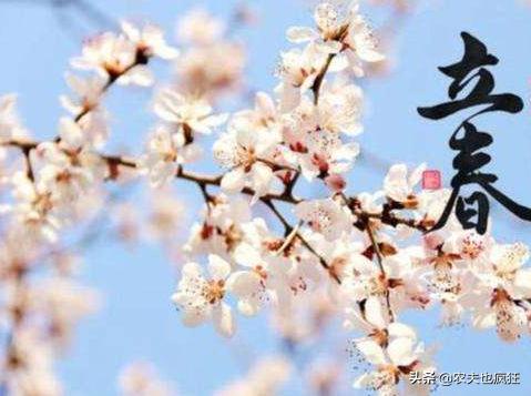 一年两立春是什么年,2022年立春和春节分别是哪一天