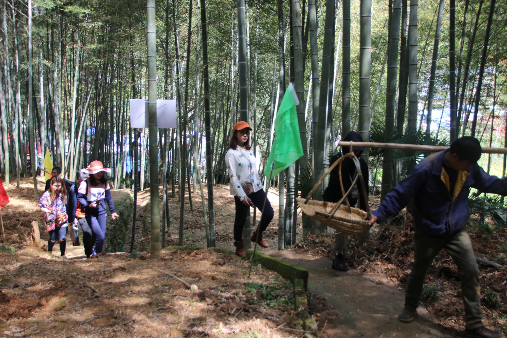 浙江临海沿江镇竹笋,临海市野生竹笋