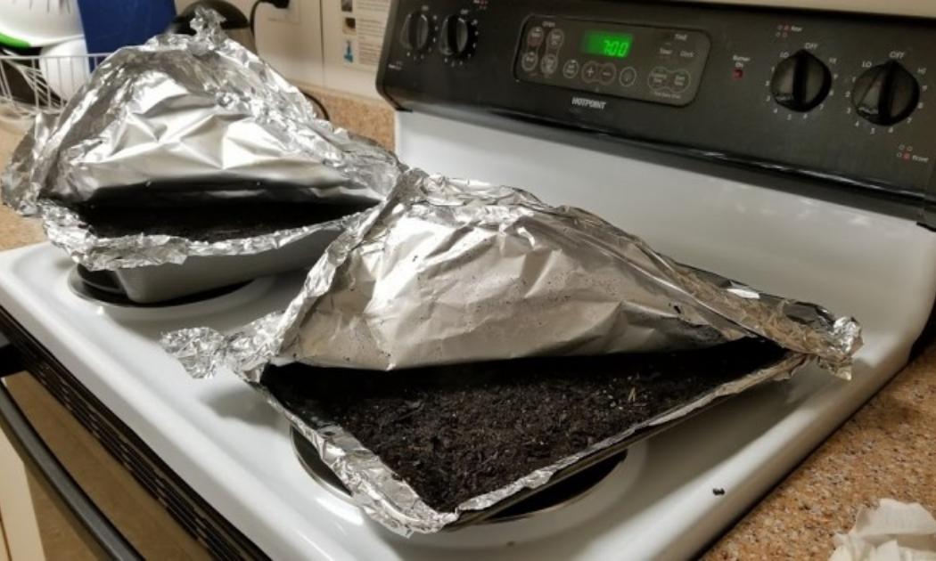 养花怕招虫子怎么办,养花怕蚂蚁怎么办视频教程