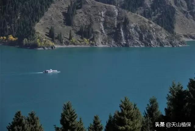 新疆有20个重要知识点,疆新