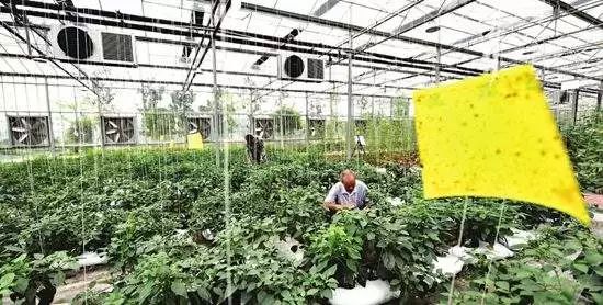 刘强东马化腾吉林省,马化腾投资刘强东