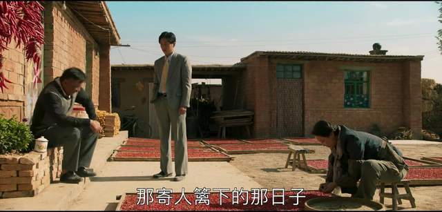 如何评价山海情这部电视剧,评分高的国产剧山海情