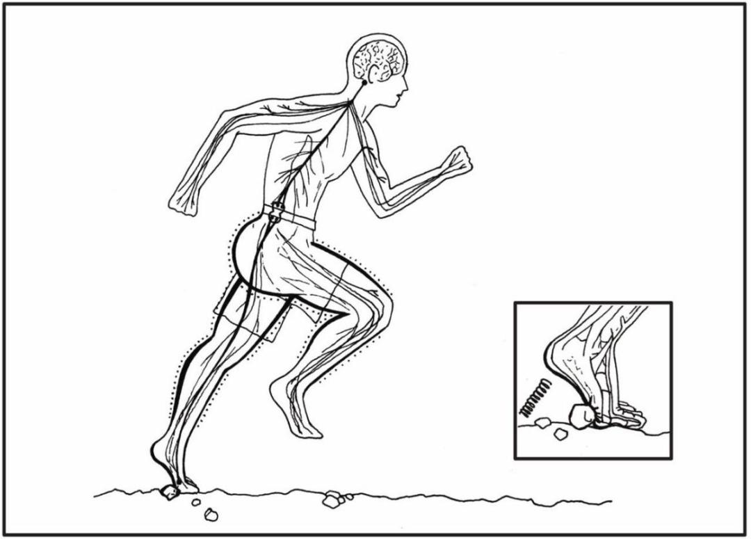 光脚的不怕穿鞋的指的是什么意思,光脚的不怕穿鞋的和哪句俗语相似