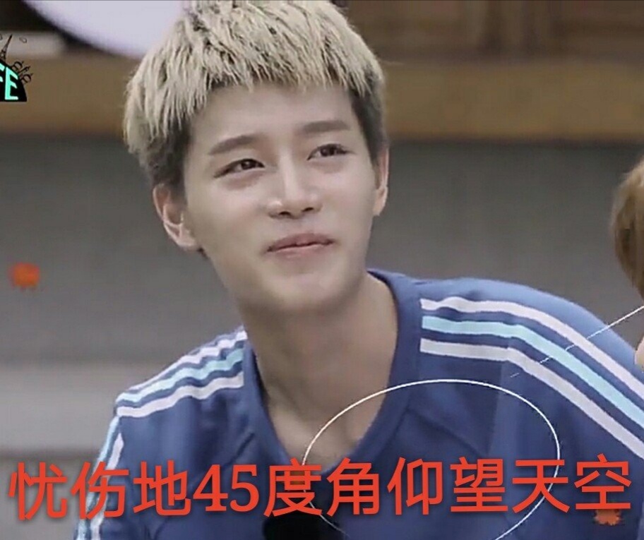 nct成员定位介绍,nct02