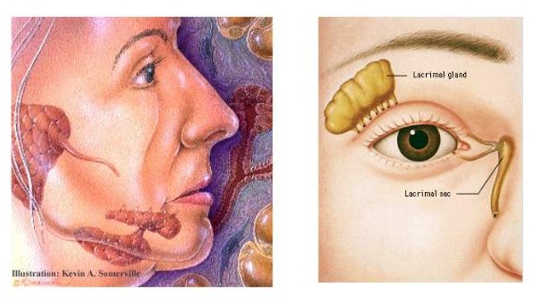 经常口渴眼干是怎么回事,经常口干眼肿是什么原因