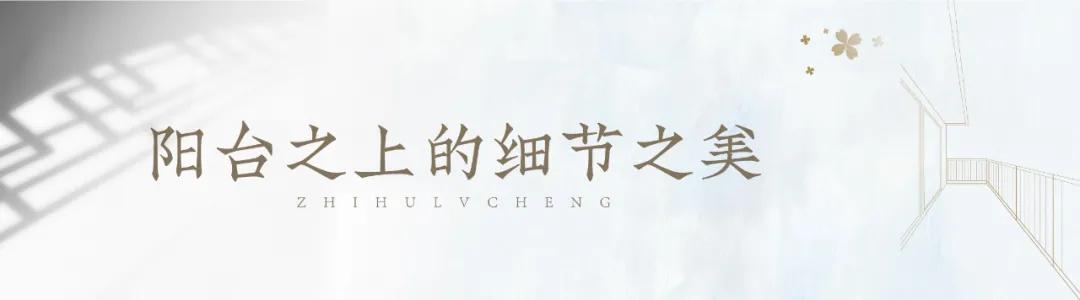 知乎绿城丨阳台之上