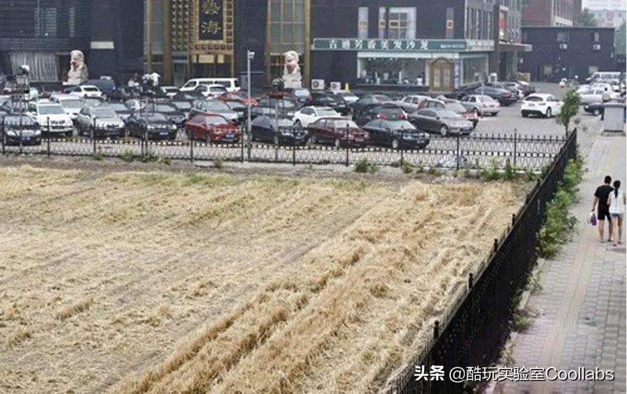 北京三环农田,北京三环麦田房价