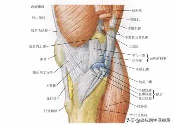 膝关节增生疼痛偏方,四神煎治膝关节疼痛