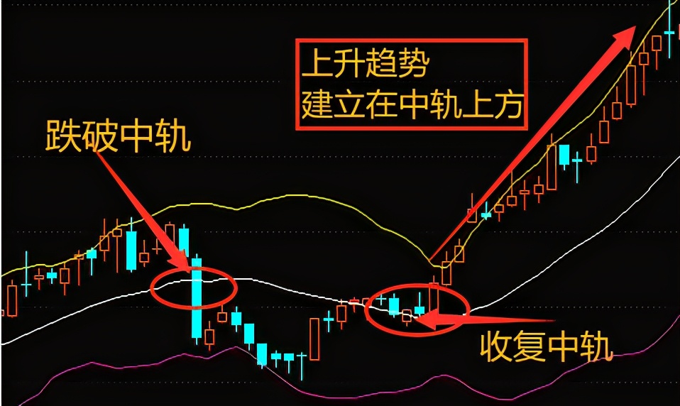 周末微学堂三伏天,周六股市基础理论学习