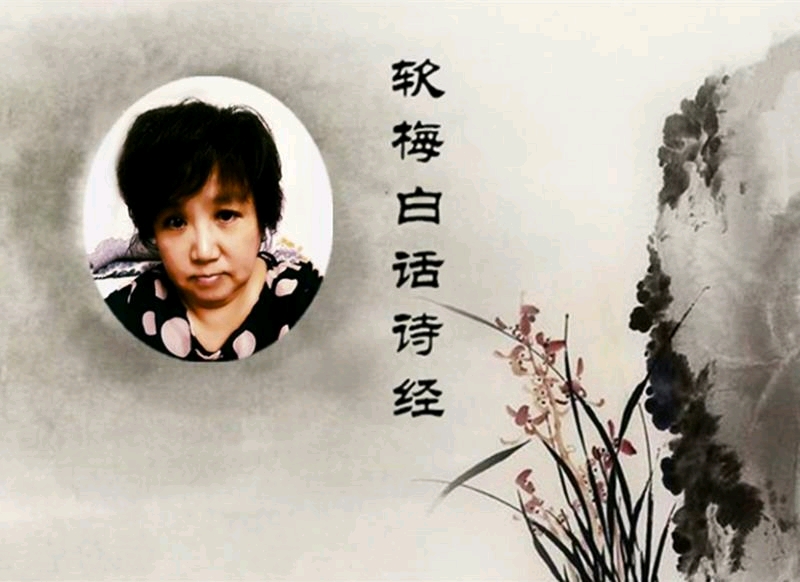 阅读经典软梅白话《诗经》「小雅·鸿雁之什」节南山190