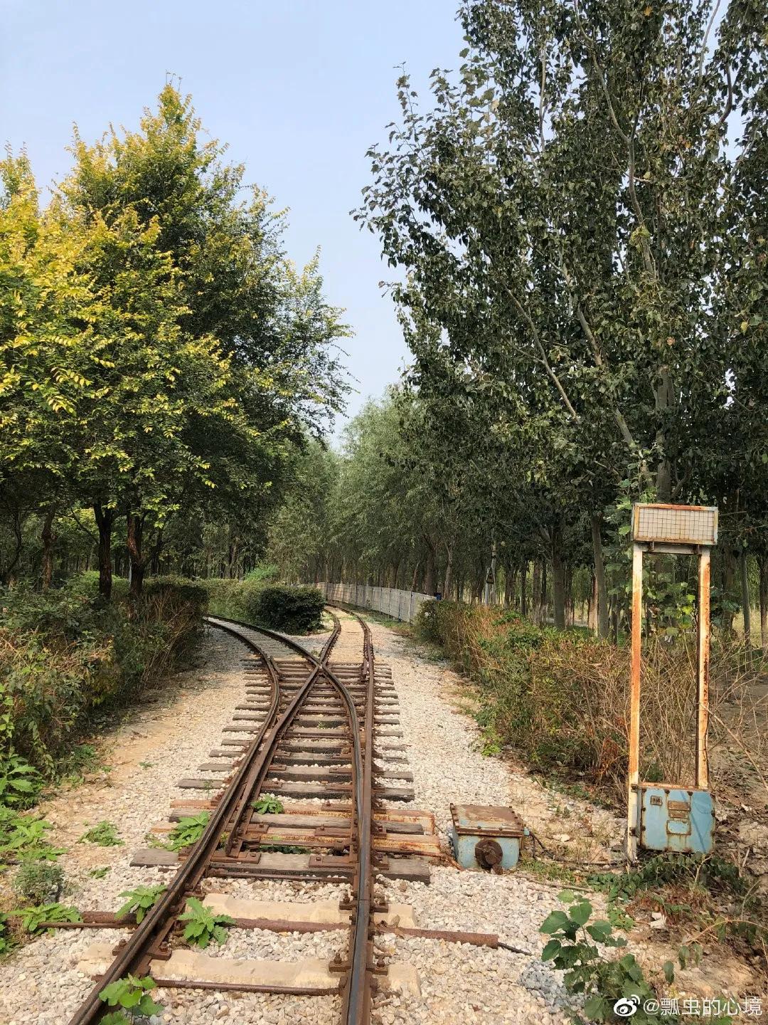 天津十大自然风景区,天津九山顶自然风景区赏秋