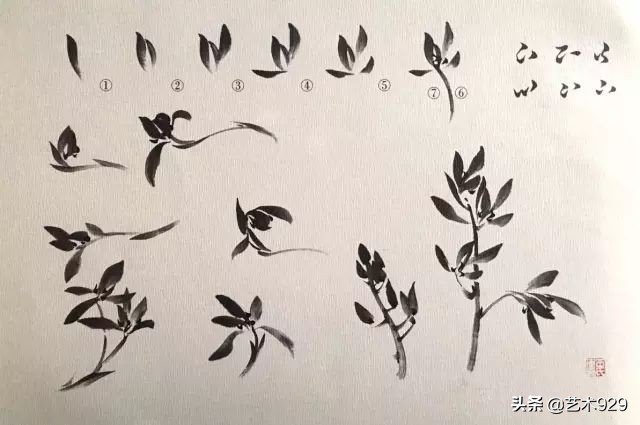 国画兰花的画法太棒了简单易学,泰国兰花绘画技法