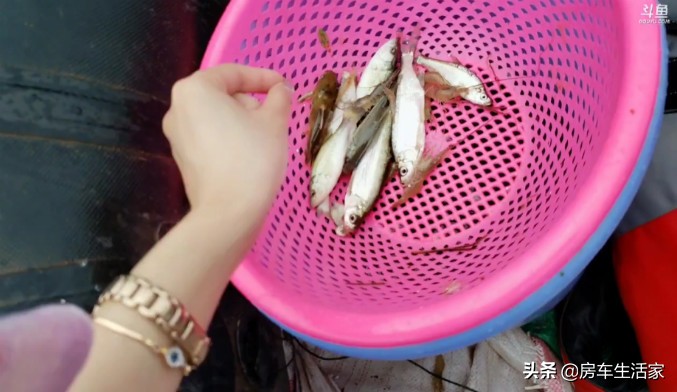 直播一场150万人围观，你知道啥叫房车户外打野团队吗？